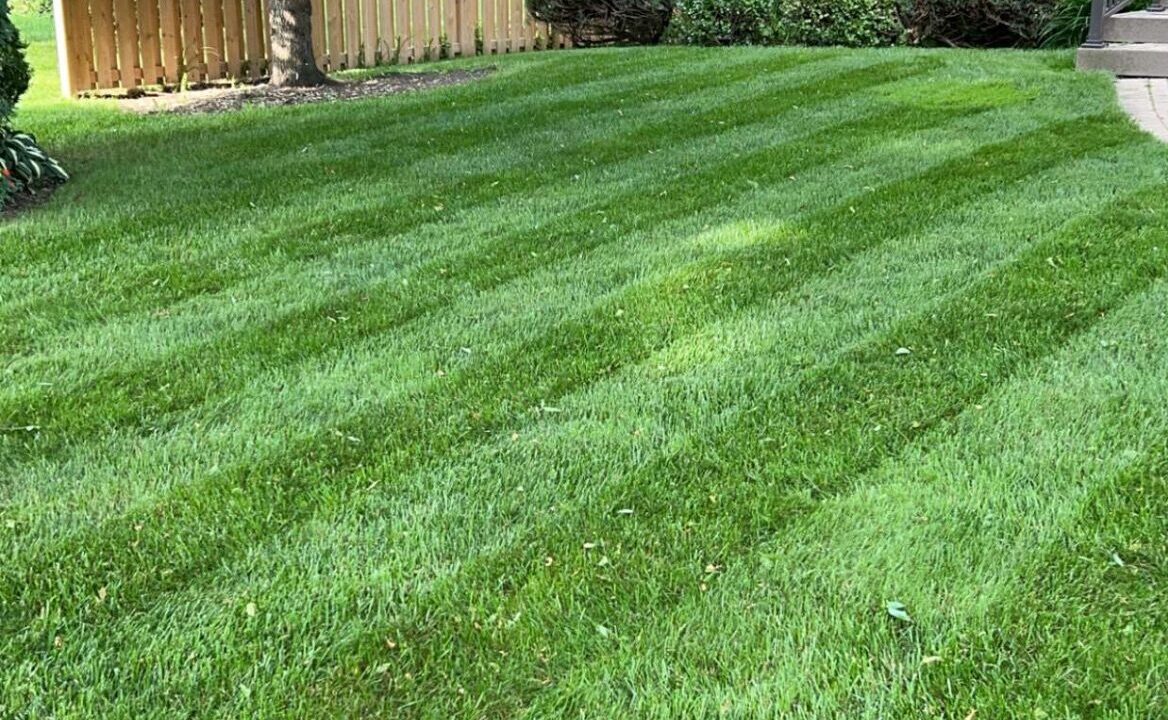 Our Services Edge Landscaping