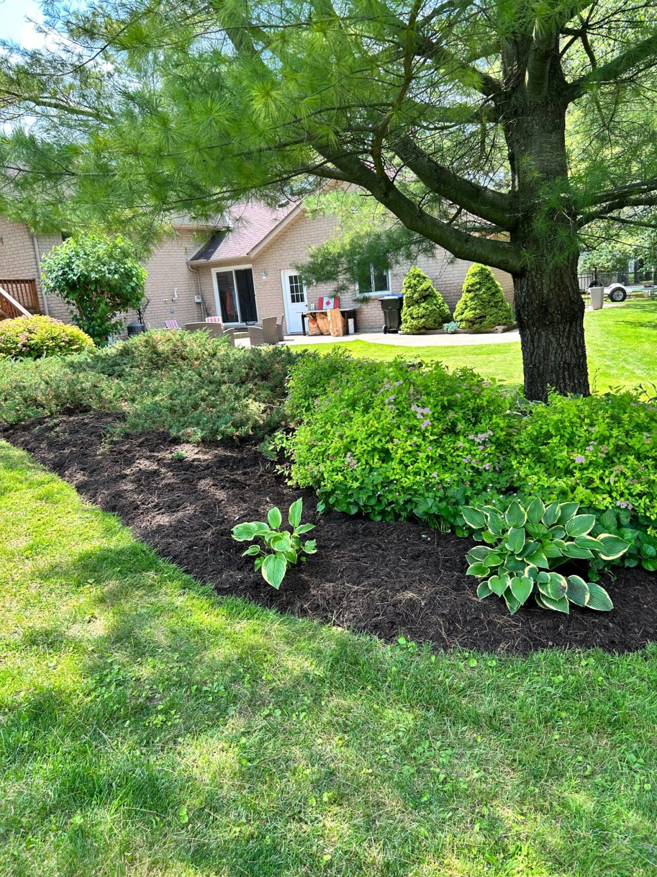 Our Services Edge Landscaping